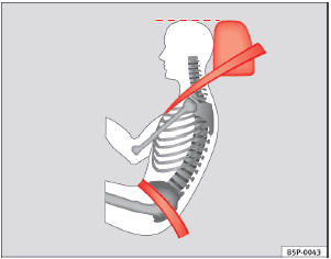 Abb. 4 Richtig eingestellte Kopfstütze von der Seite betrachtet