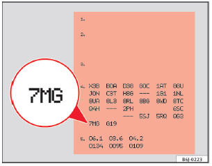 Abb. 136 Fahrzeugdatenträger auf der Rückseite des Service-Plans