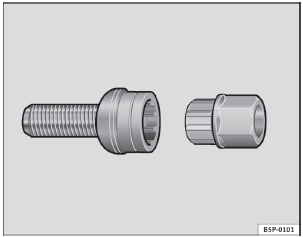 Abb. 160 Diebstahlhemmende Radschrauben