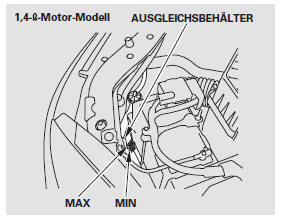 Bei Benzin-Modellen