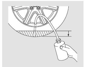 3. Den Schlauch durch die Ventilöffnung in