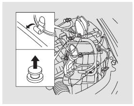 Bei 1,8- -Motor-Modell