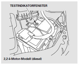 Zusätzliche Wartungsarbeiten an der Batterie