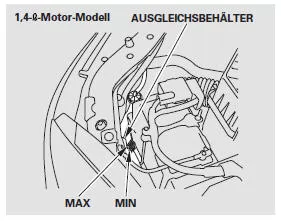 Bei Benzin-Modellen